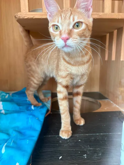 蒲啊 的照片