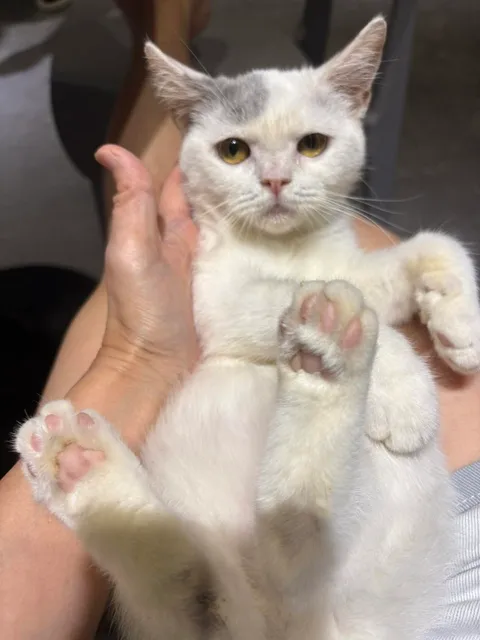 糊糊 的照片